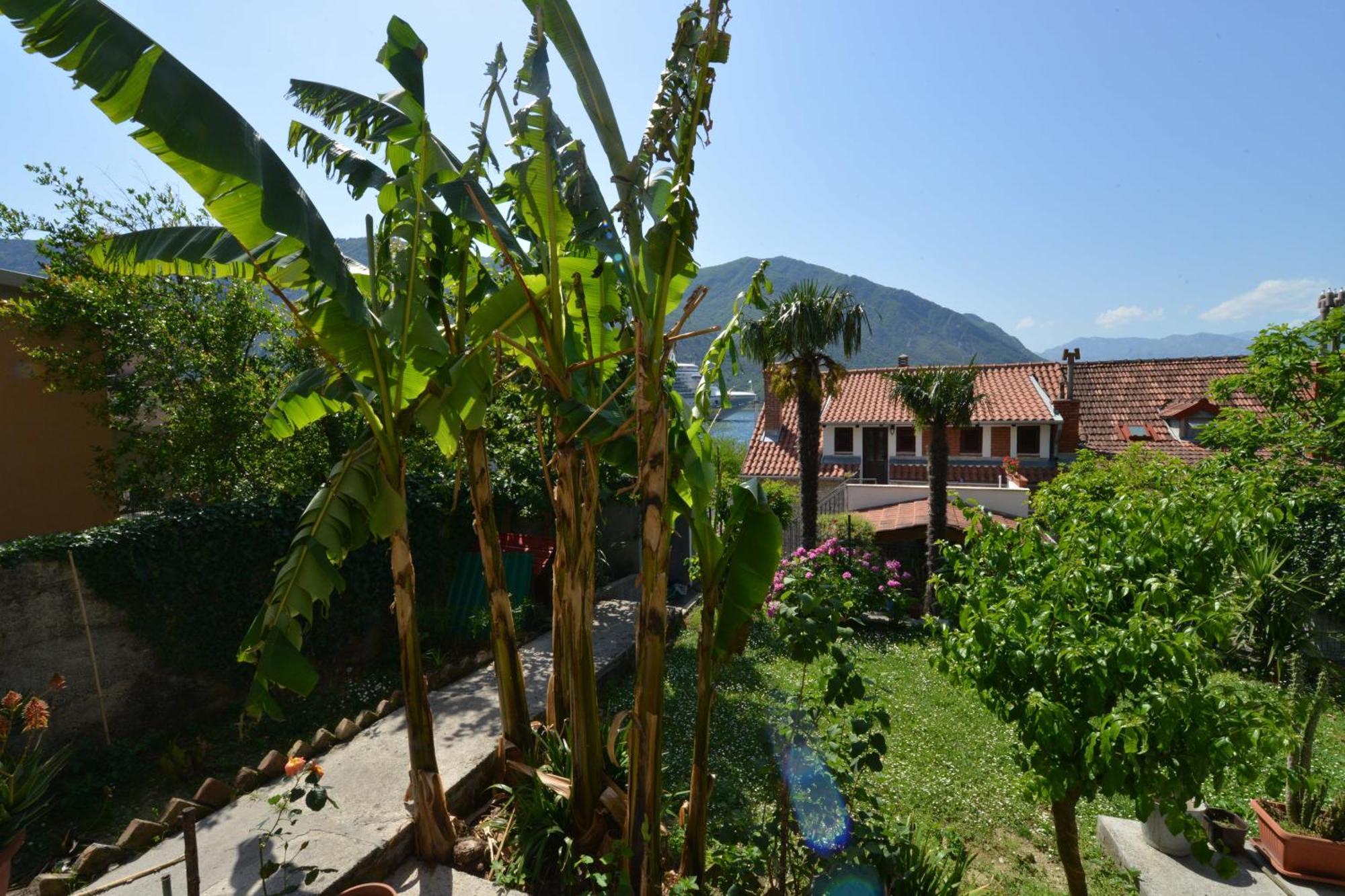 Apartments Popovic 2 Κότορ Δωμάτιο φωτογραφία