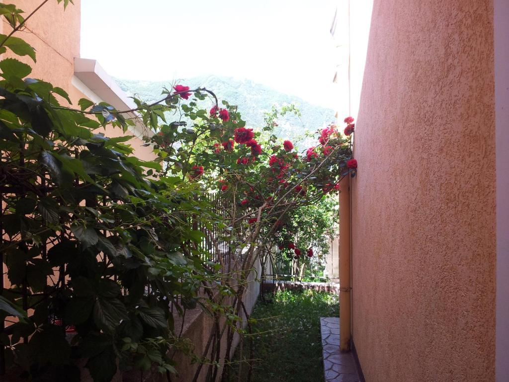 Apartments Popovic 2 Κότορ Εξωτερικό φωτογραφία